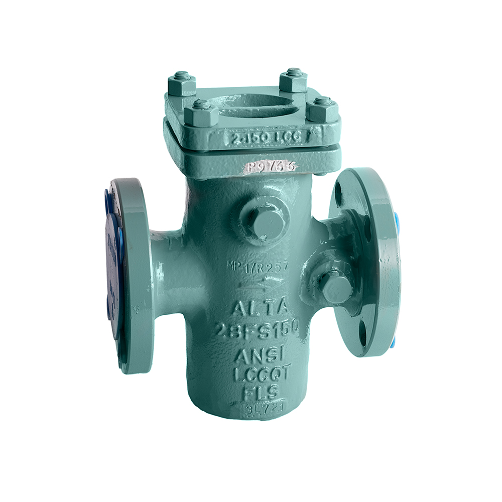 BF 150 LCC strainer