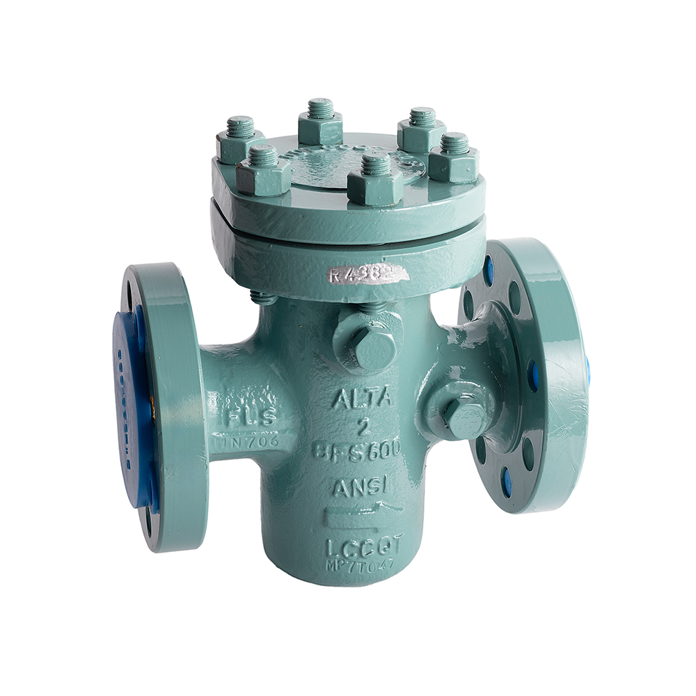 BFS 600 LCC Strainer