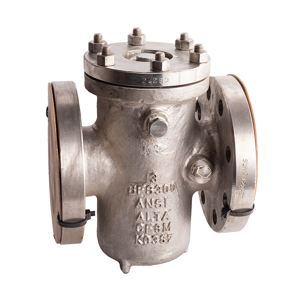 BFS 300 SS Strainer
