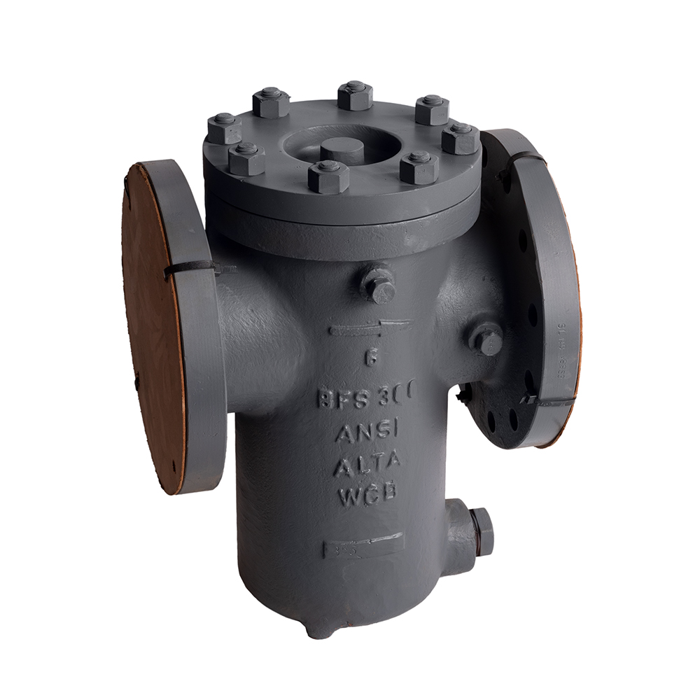 BFS 300 Strainer front