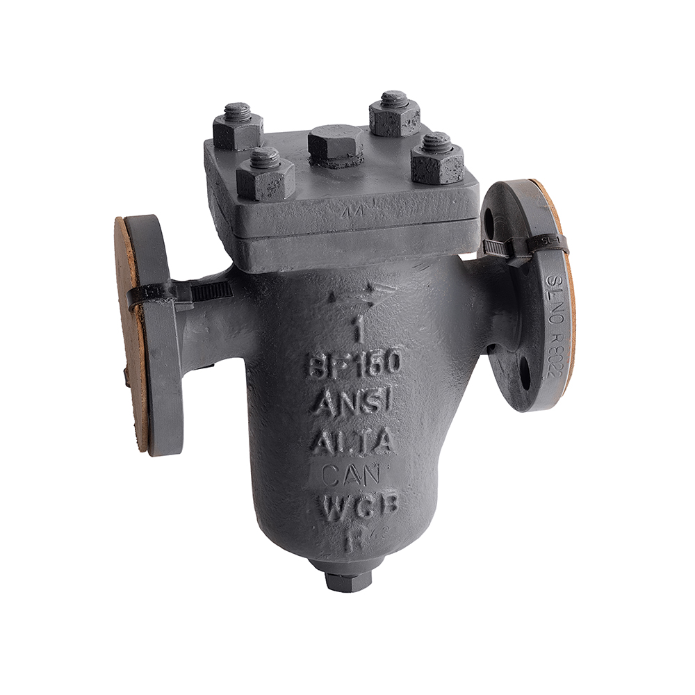 BF 150 industrial strainer